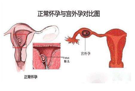 第1134页