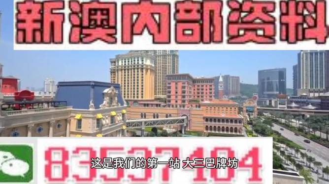 2024新奥精准正版资料,揭秘2024新奥精准正版资料，探寻未来的奥秘