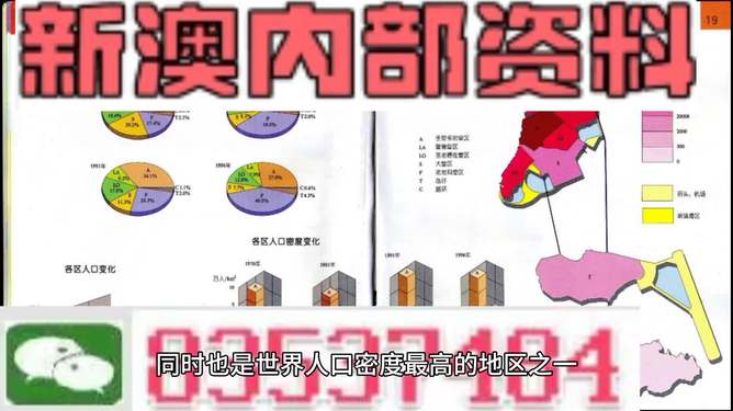 新澳正版资料与内部资料,新澳正版资料与内部资料的探讨——一个关于违法犯罪问题的探讨