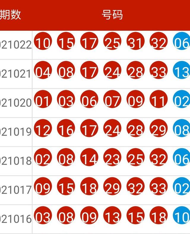 2024新奥历史开奖记录49期,揭秘新奥历史开奖记录，探寻第49期的奥秘与魅力