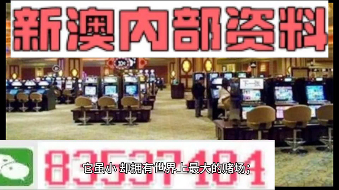 2024新澳门正版免费正题,新澳门正版免费背后的犯罪风险与应对之道（2024年观察）