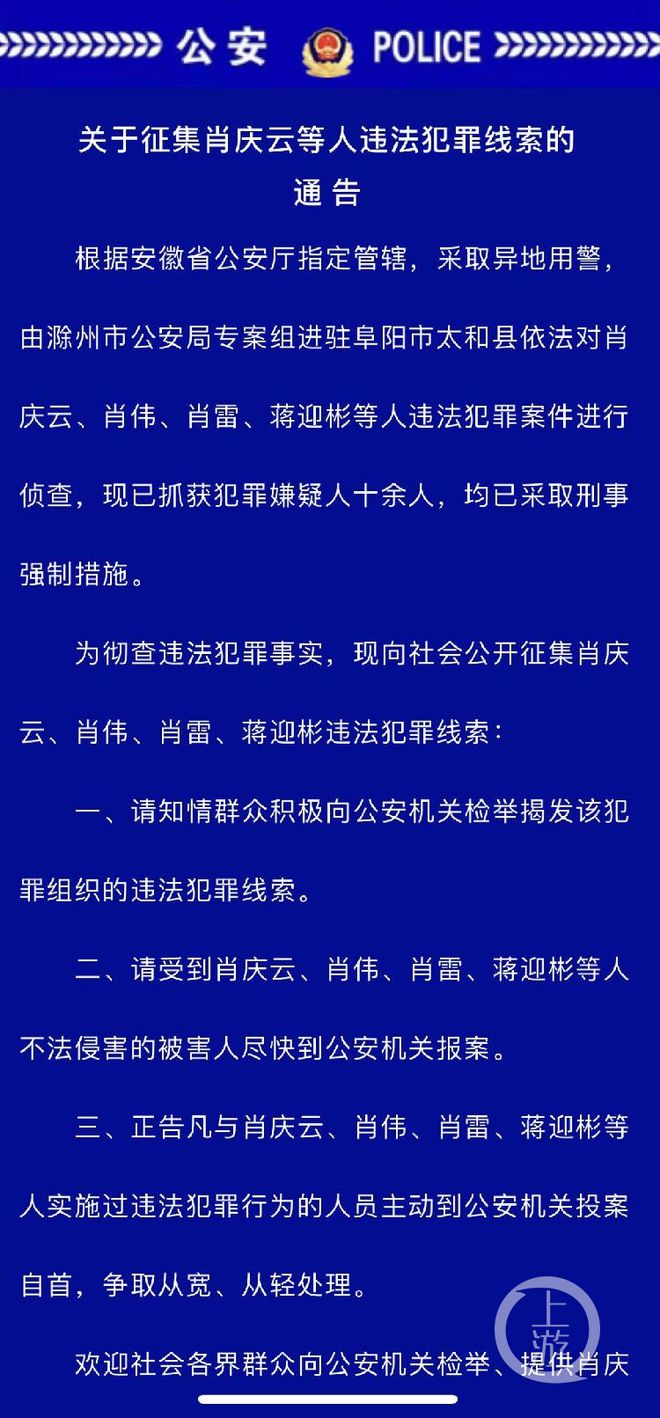 一肖一码100%-中,关于一肖一码100%-中的真相揭示，一个犯罪现象的剖析