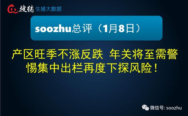 新澳精准资料免费提供网,警惕网络犯罪风险，切勿依赖非法网站提供的新澳精准资料