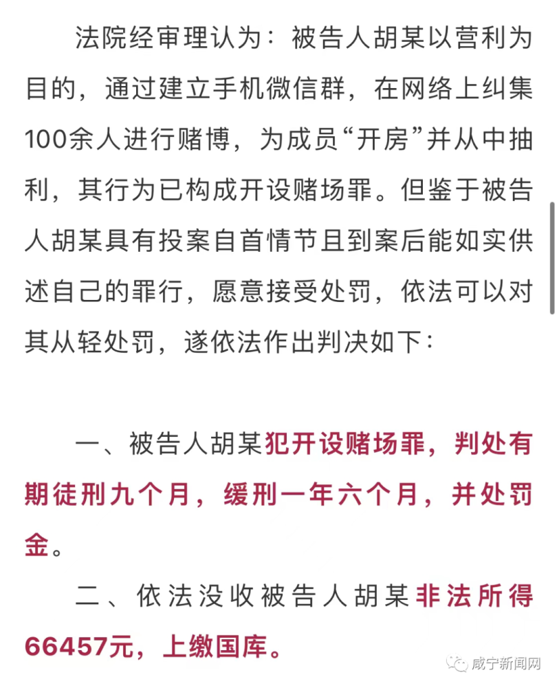 澳门内部最精准免费资料,澳门内部最精准免费资料——揭示违法犯罪问题的重要性