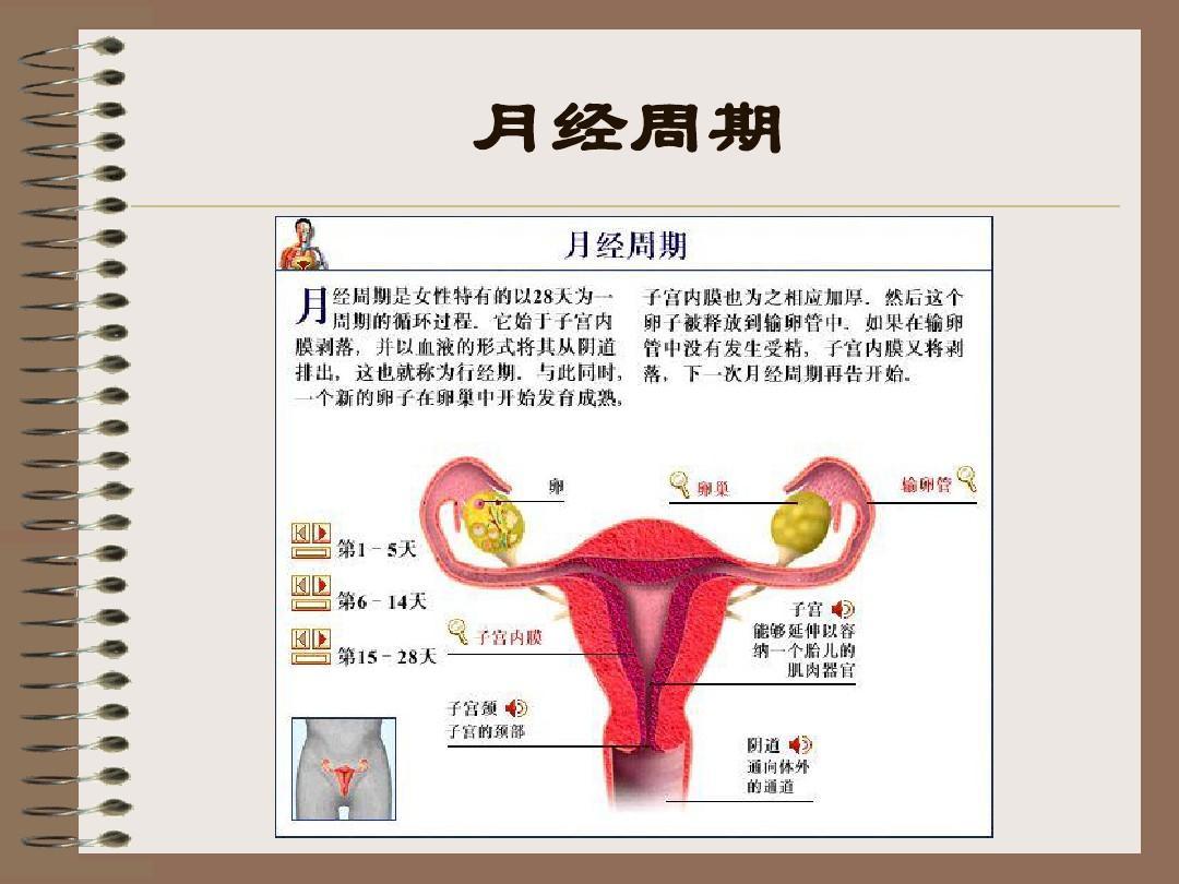 教育知识 第74页