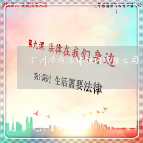 广东省商事诉讼律师委托,广东省商事诉讼律师委托，解析与探讨