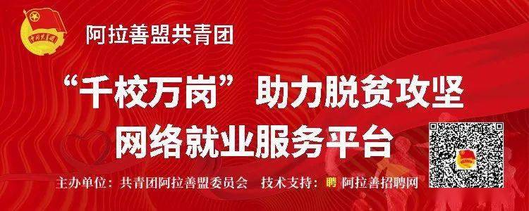 阿拉善盟市联动中心最新招聘信息,阿拉善盟市联动中心最新招聘信息概览