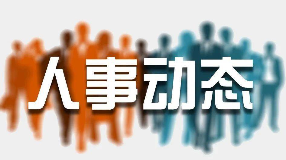 果索村最新人事任命,果索村最新人事任命动态及展望