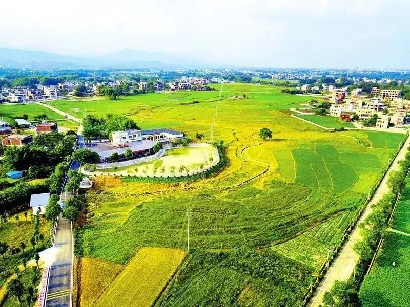 惠州市市农业局最新项目,惠州市农业局最新项目，引领农业现代化，助力乡村振兴