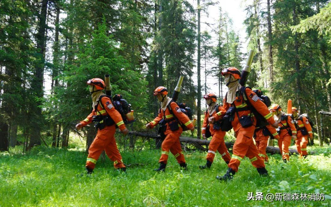 阿勒泰市水利局最新项目,阿勒泰市水利局最新项目，引领水资源管理新时代的里程碑