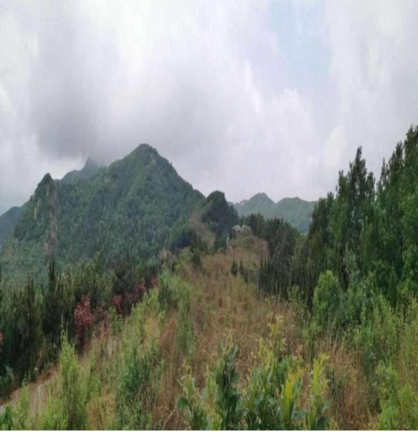 诸城市文化广电体育和旅游局最新项目,诸城市文化广电体育和旅游局最新项目，推动文旅融合，助力城市繁荣发展